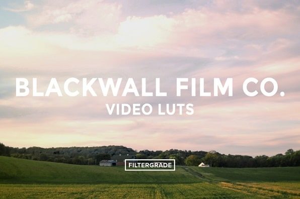 Blackwall Film Co. Video LUTs Filtergrade