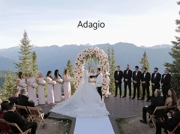 Gamut Adagio LUTs