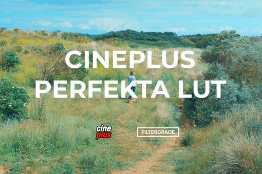 Cineplus Perfekta LUT