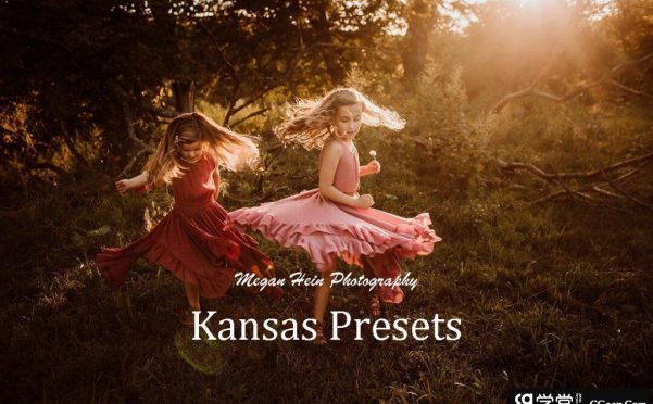 摄影师Megan Hein梦幻光线的魔力Lightroom预设Megan Hein Kansas Presets