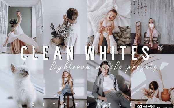 莫兰迪灰白色系LR预设/移动APP预设 CLEAN WHITES lightroom presets