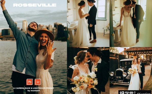 罗斯威尔自然光婚礼人像LR预设Rosseville Natural Light Wedding