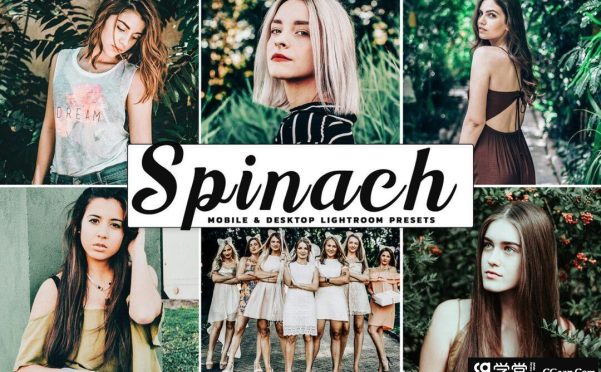 【治愈系森感胶片】Spinach系列人像预设 | 支持Lightroom电脑版与手机APP