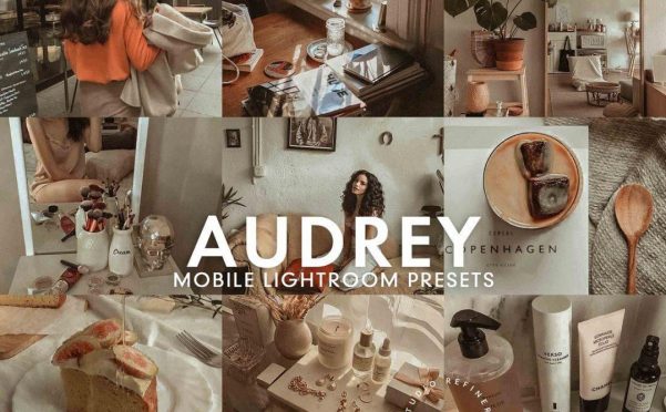 莫兰迪灰色调LR预设/APP调色滤镜 5 AUDREY Mobile Lightroom Presets