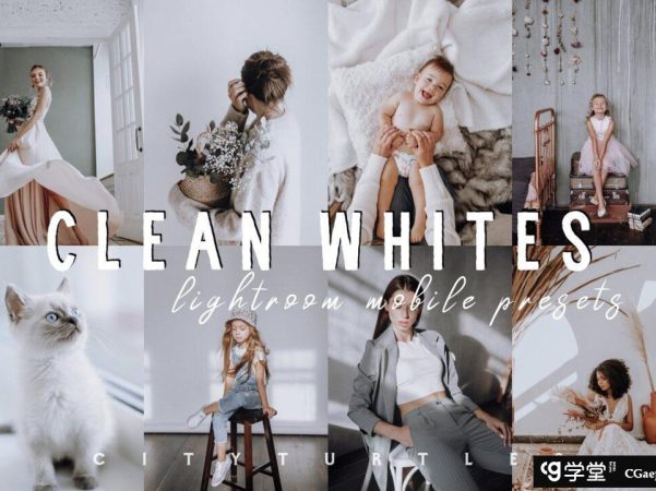 莫兰迪灰白色系LR预设/移动APP预设 CLEAN WHITES lightroom presets