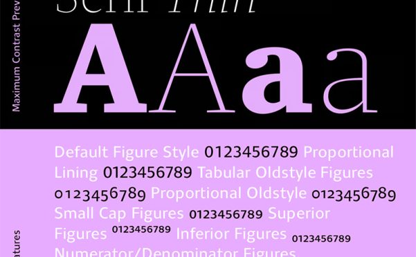 Clara Sans Serif字体家族30款OTF 商业设计多语言排版衬线无衬线组合字体库