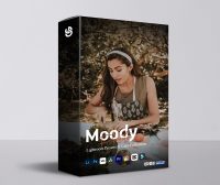 Moody情绪氛围感Lightroom预设LUT套装12个 深沉阴影电影感色调手机电脑通用调色滤镜 Moody Lightroom Presets & Luts Collection