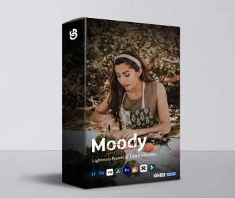 Moody情绪氛围感Lightroom预设LUT套装12个 深沉阴影电影感色调手机电脑通用调色滤镜 Moody Lightroom Presets & Luts Collection
