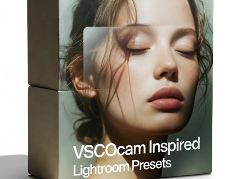 VSCO CAM风格Lightroom预设 30款胶片感滤镜 人像风景生活摄影后期调色lrtemplate