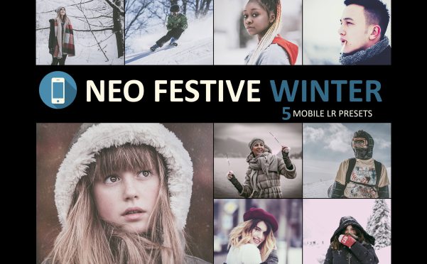 手机版Lightroom预设 冬季节日氛围感LR滤镜 DNG格式调色素材 About Neo Festive Winter Story Mobile Lightroom Presets Graphic