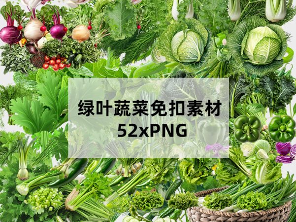 绿叶蔬菜免扣PNG素材52张 高清透明背景健康饮食食谱设计电商详情页配图