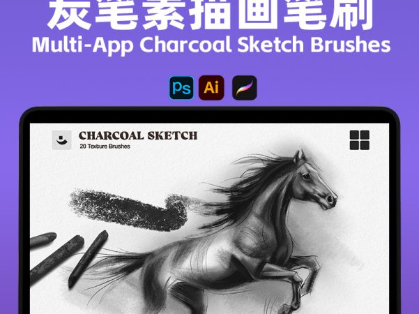 炭笔素描笔刷套装 Charcoal Brushes 10支+涂抹混色 纸纹质感 JPG PS Procreate Multi-App Charcoal Sketch Brushes
